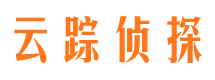 阳城侦探公司